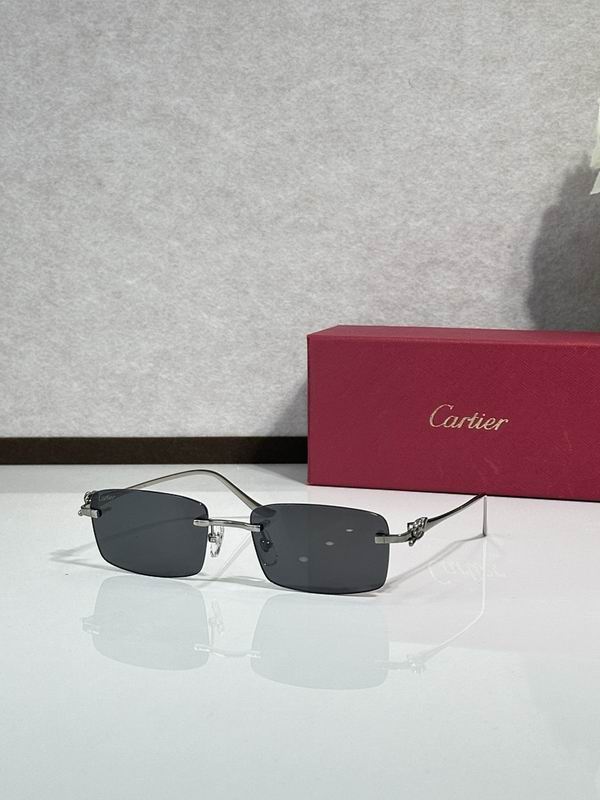 Cartier Glasses smr287
